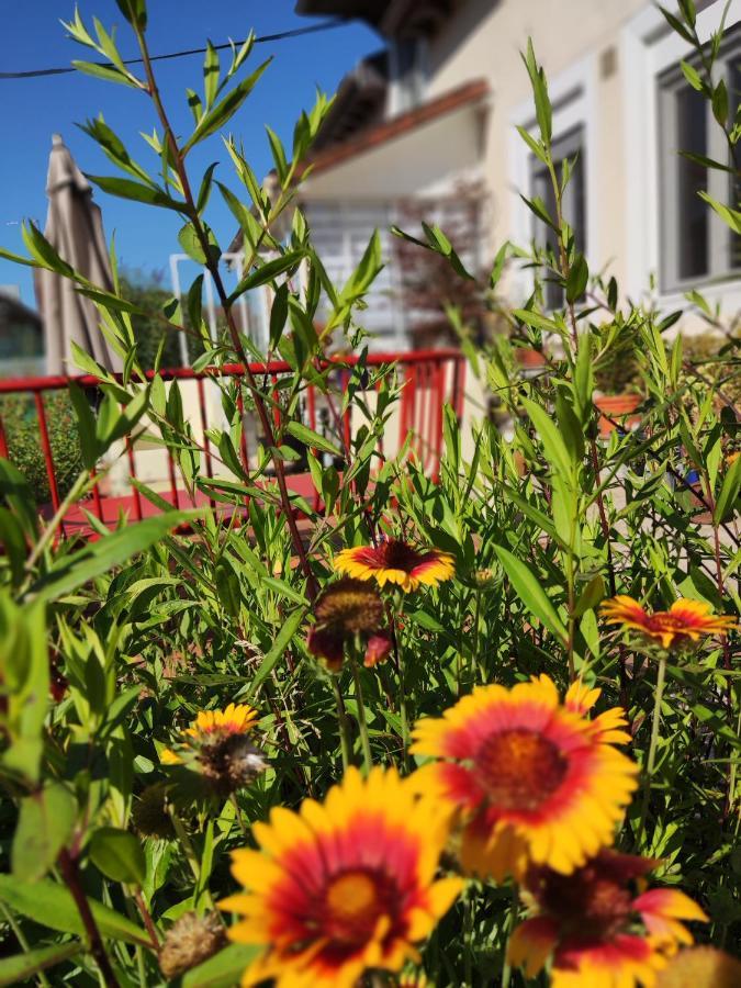 Bed and Breakfast Campagn'Arts Villechétif Exterior foto